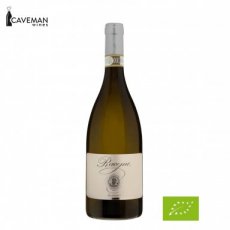 L'Olivella - Racemo Bianco 2023 - Frascati Superiore DOCG